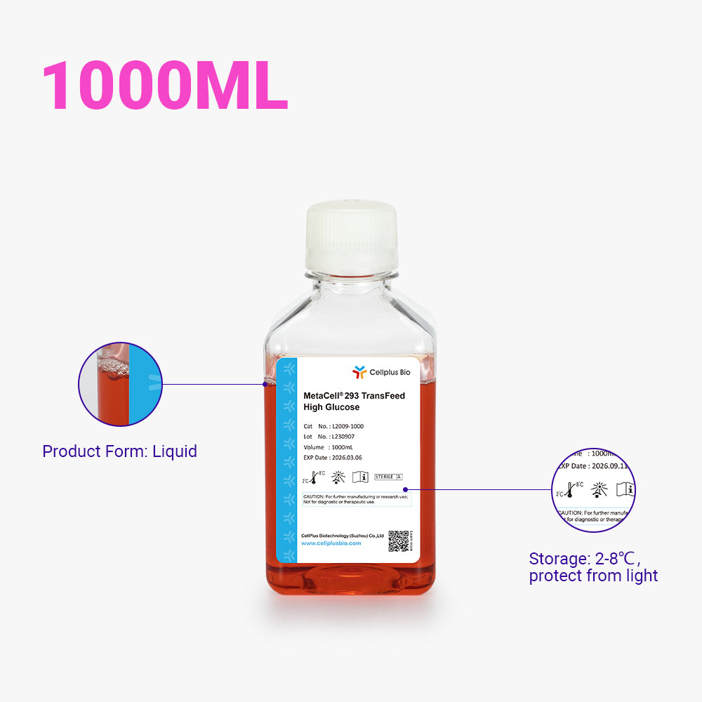 MetaCell® 293 TransFeed 高葡萄糖,1000ml 液體