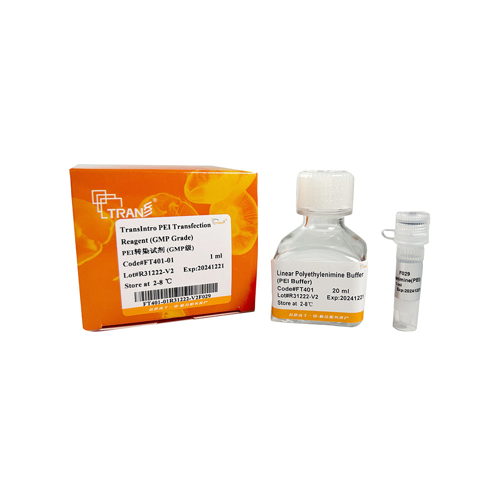 TransIntro® GMP 級 PEI 轉染試劑 - 1 毫升