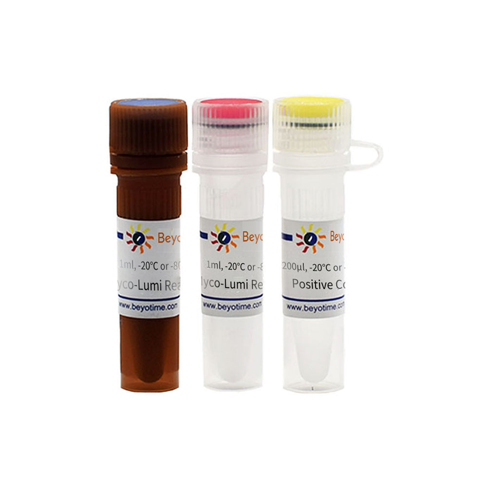 Myco-Lumi™ 發光支原體檢測試劑盒，適用於高靈敏度儀器，20T