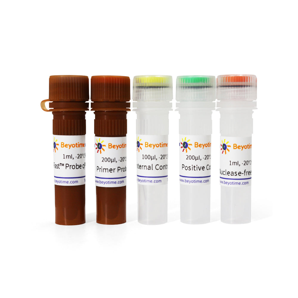 BeyoDirect™ 支原體 qPCR 檢測試劑盒，100T