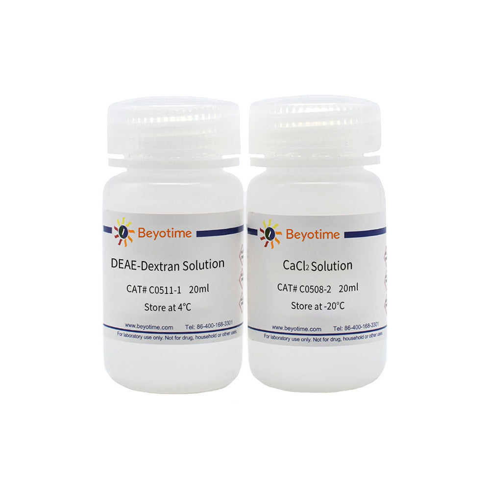 Calcium Phosphate Cell Transfection Kit, >200T