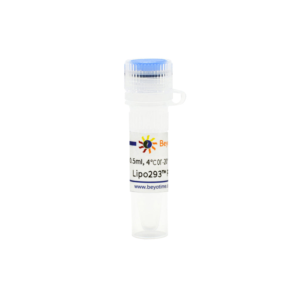 Lipo293™ Plus 轉染試劑，0.5 mL