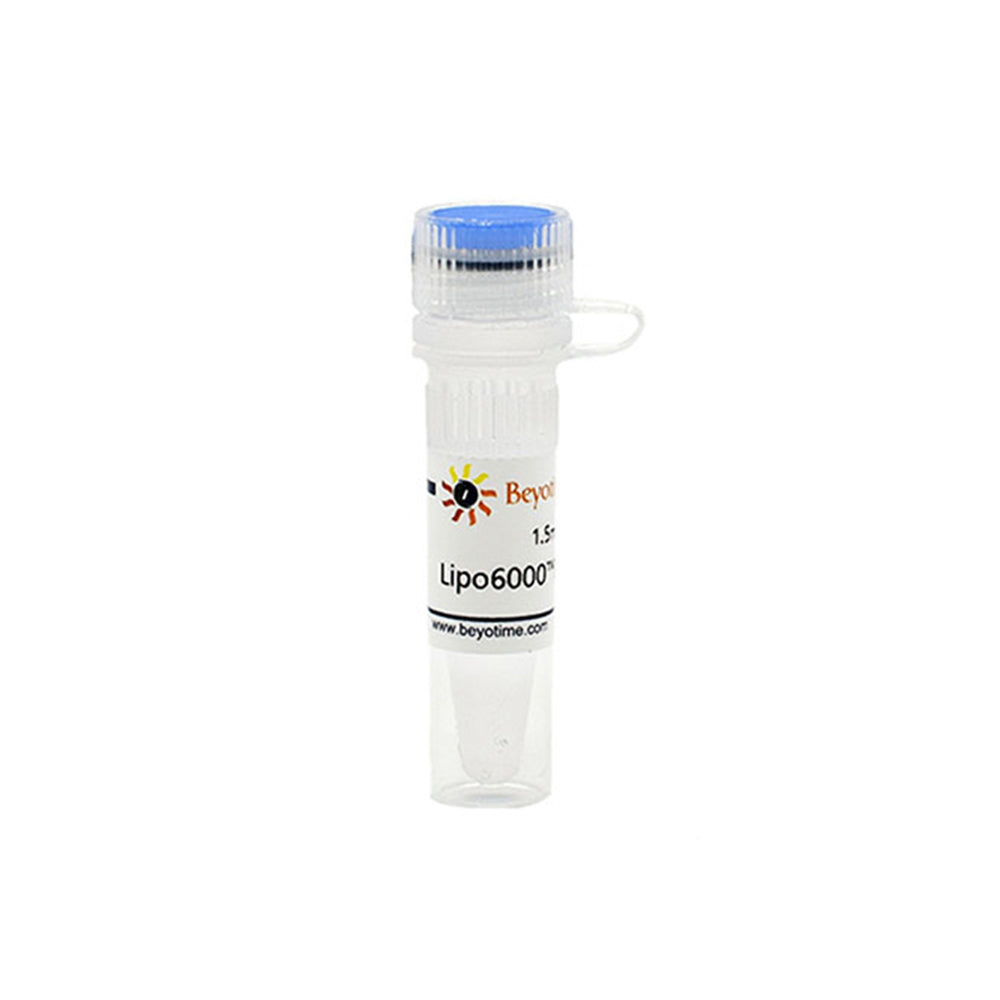 Lipo6000™ Transfection Reagent, 1.5 mL