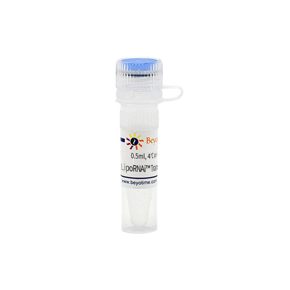 LipoRNAi™ Transfection Reagent, 0.5 mL