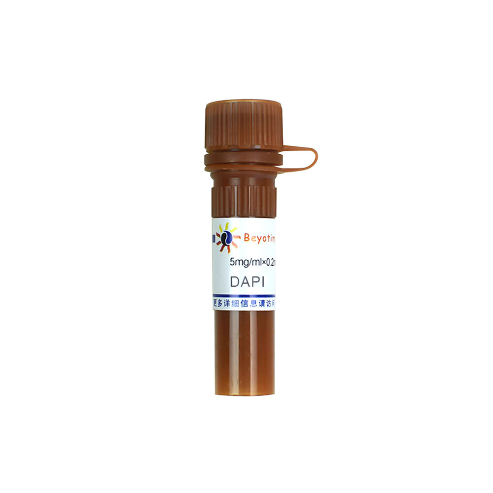DAPI, 0.2 mL