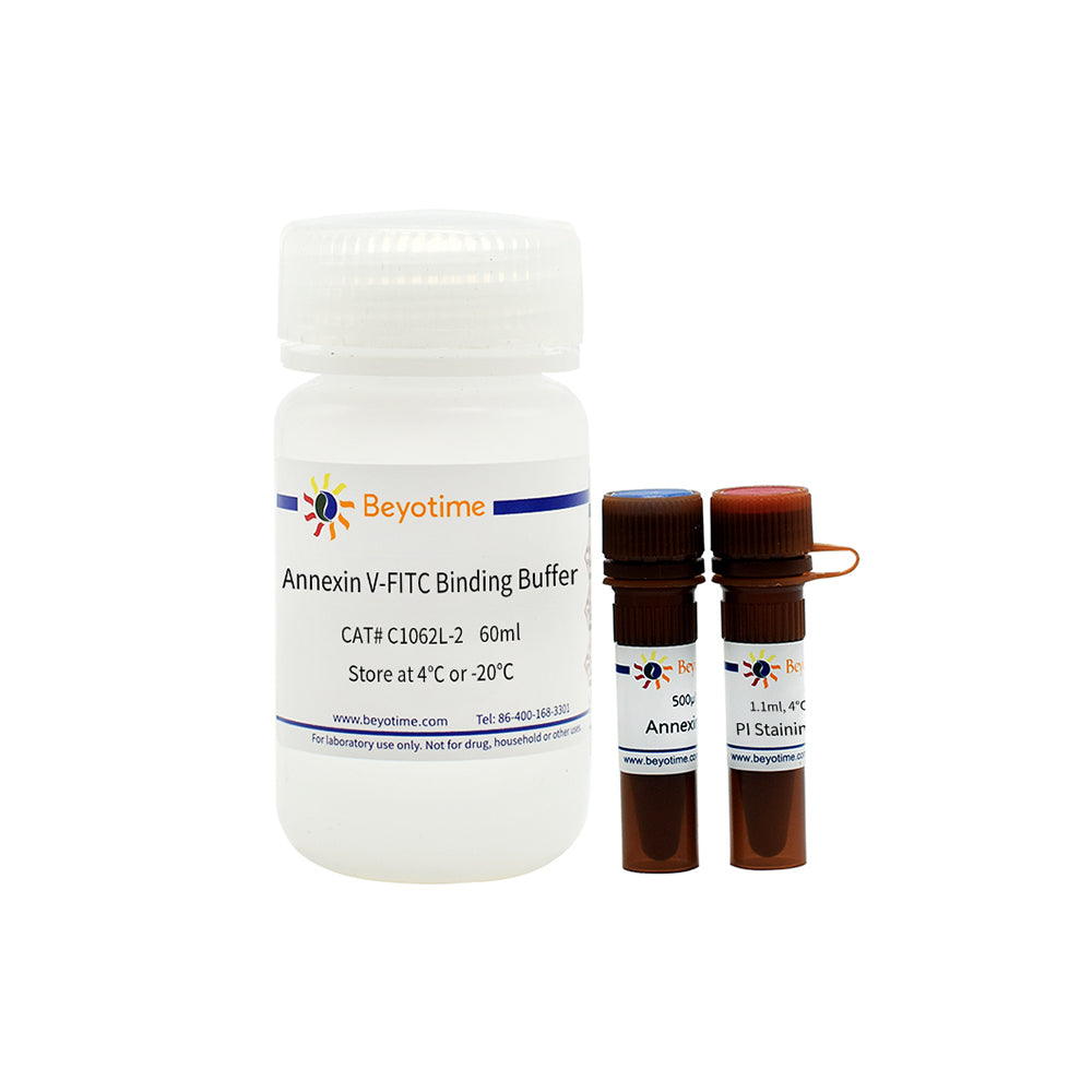 Annexin V-FITC Apoptosis Detection Kit, 100T