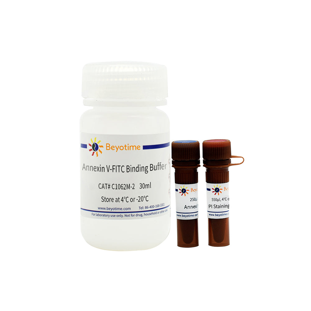Annexin V-FITC Apoptosis Detection Kit, 50T