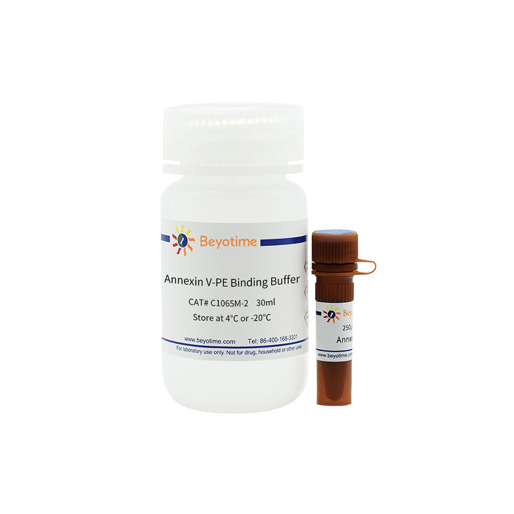 Annexin V-PE Apoptosis Detection Kit, 50T