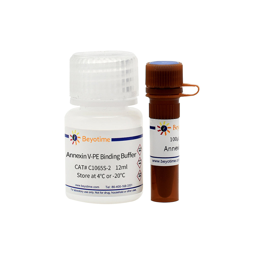 Annexin V-PE Apoptosis Detection Kit, 20T