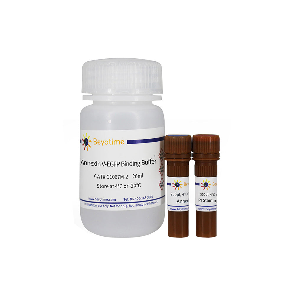 Annexin V-EGFP Apoptosis Detection Kit, 50T