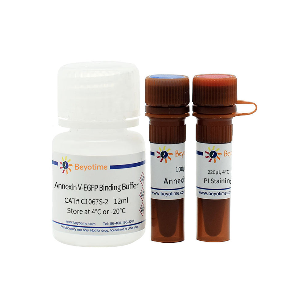 Annexin V-EGFP Apoptosis Detection Kit, 20T