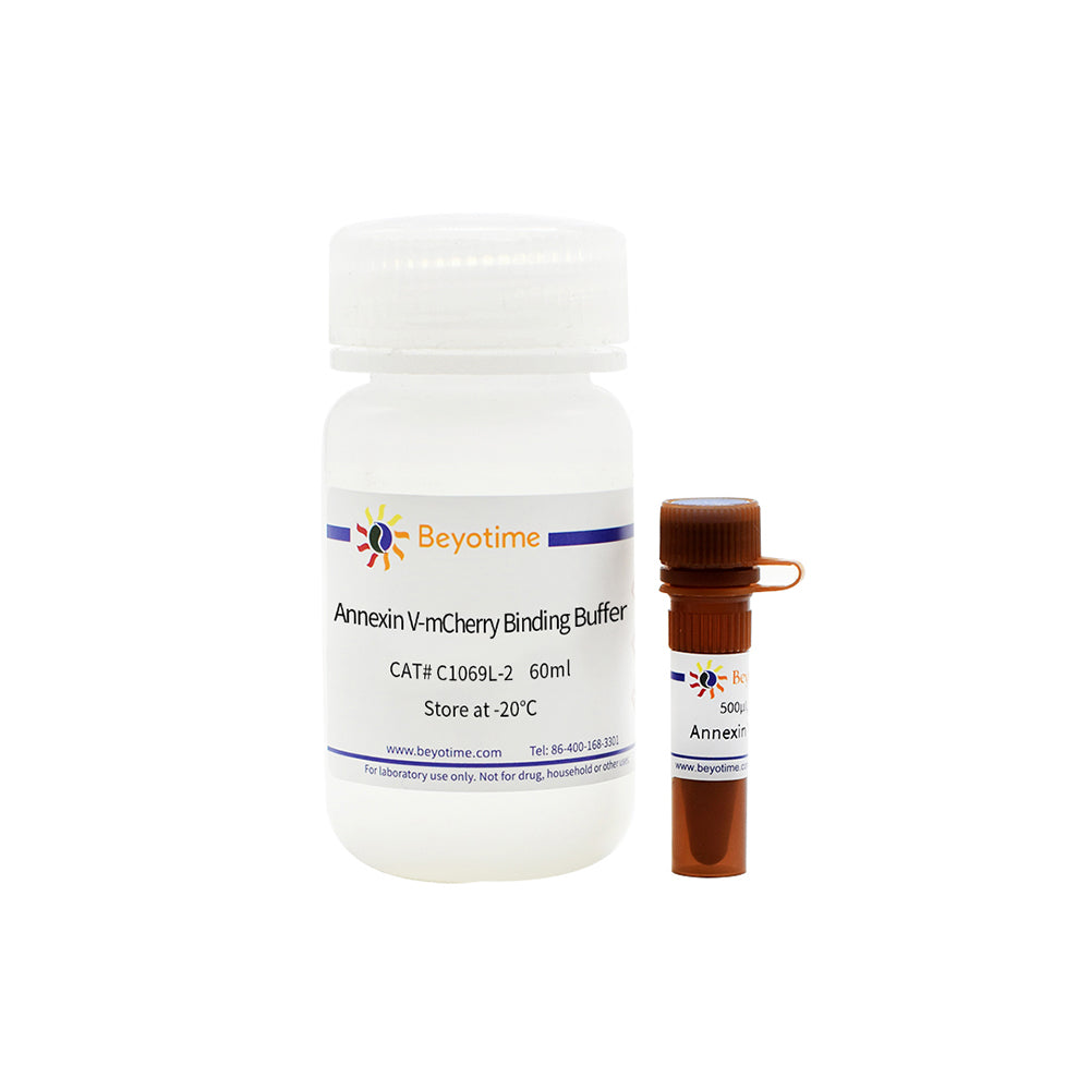 Annexin V-mCherry Apoptosis Detection Kit, 100T