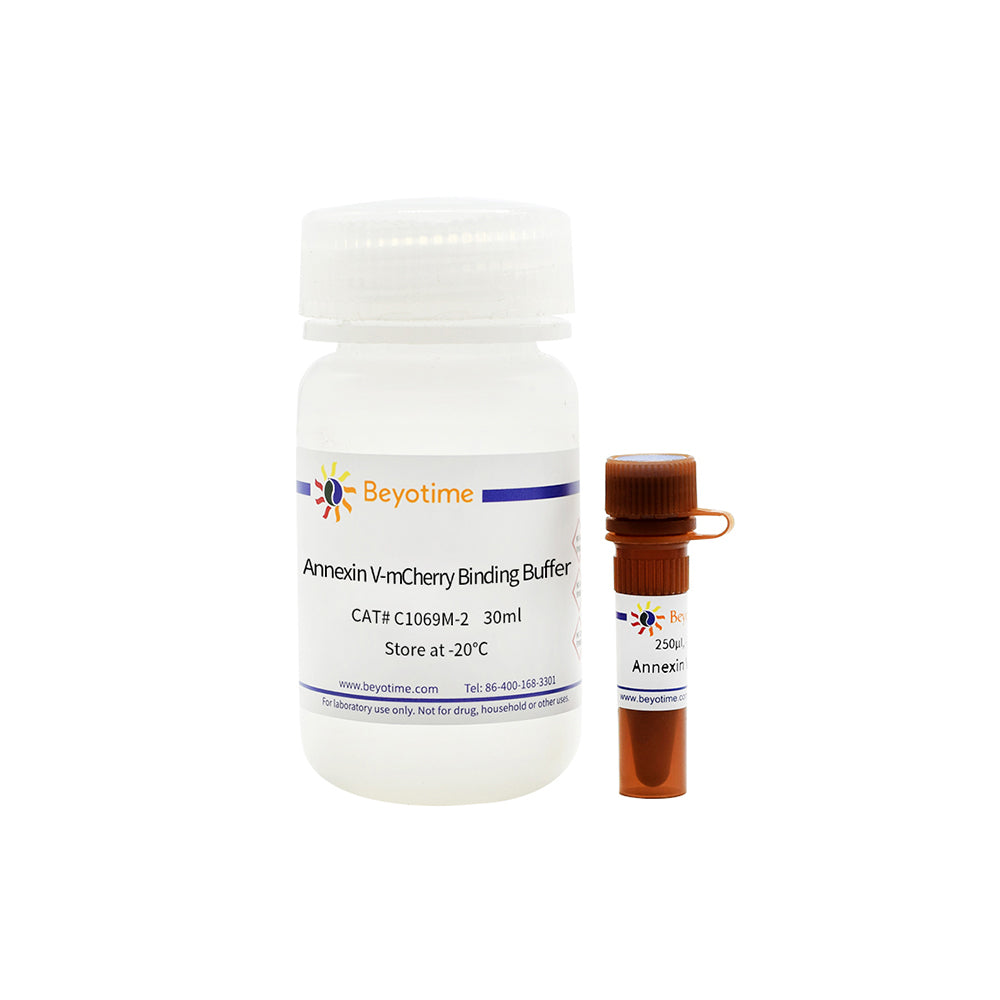 Annexin V-mCherry Apoptosis Detection Kit, 50T