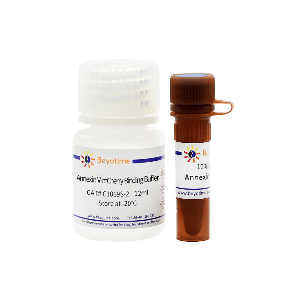 Annexin V-mCherry Apoptosis Detection Kit, 20T