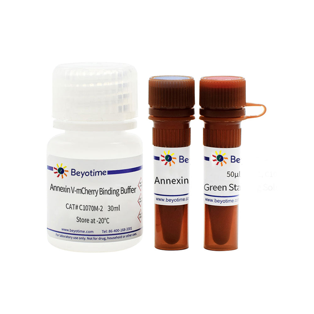 Cell Apoptosis Detection Kit with Annexin V-mCherry and SYTOX Green, 50T