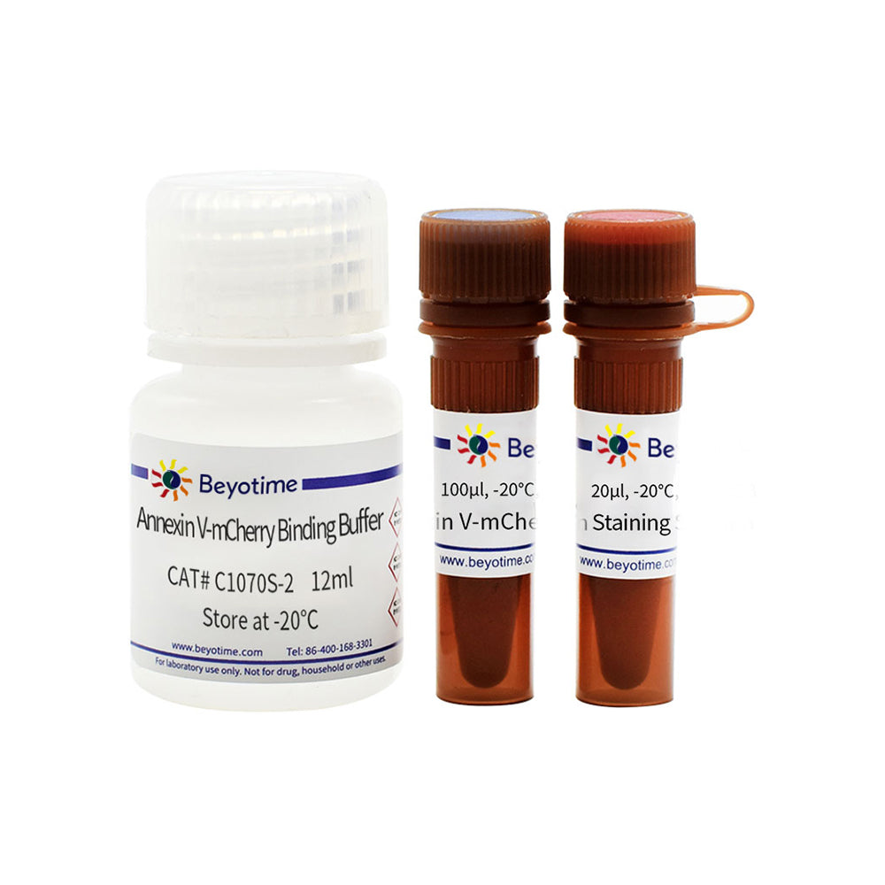 Cell Apoptosis Detection Kit with Annexin V-mCherry and SYTOX Green, 20T