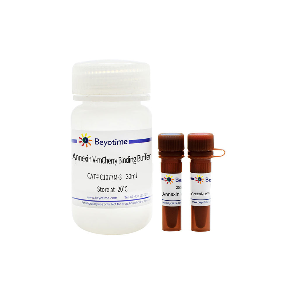 Caspase-3 Activity and Apoptosis Detection Kit for Live Cell, 50T