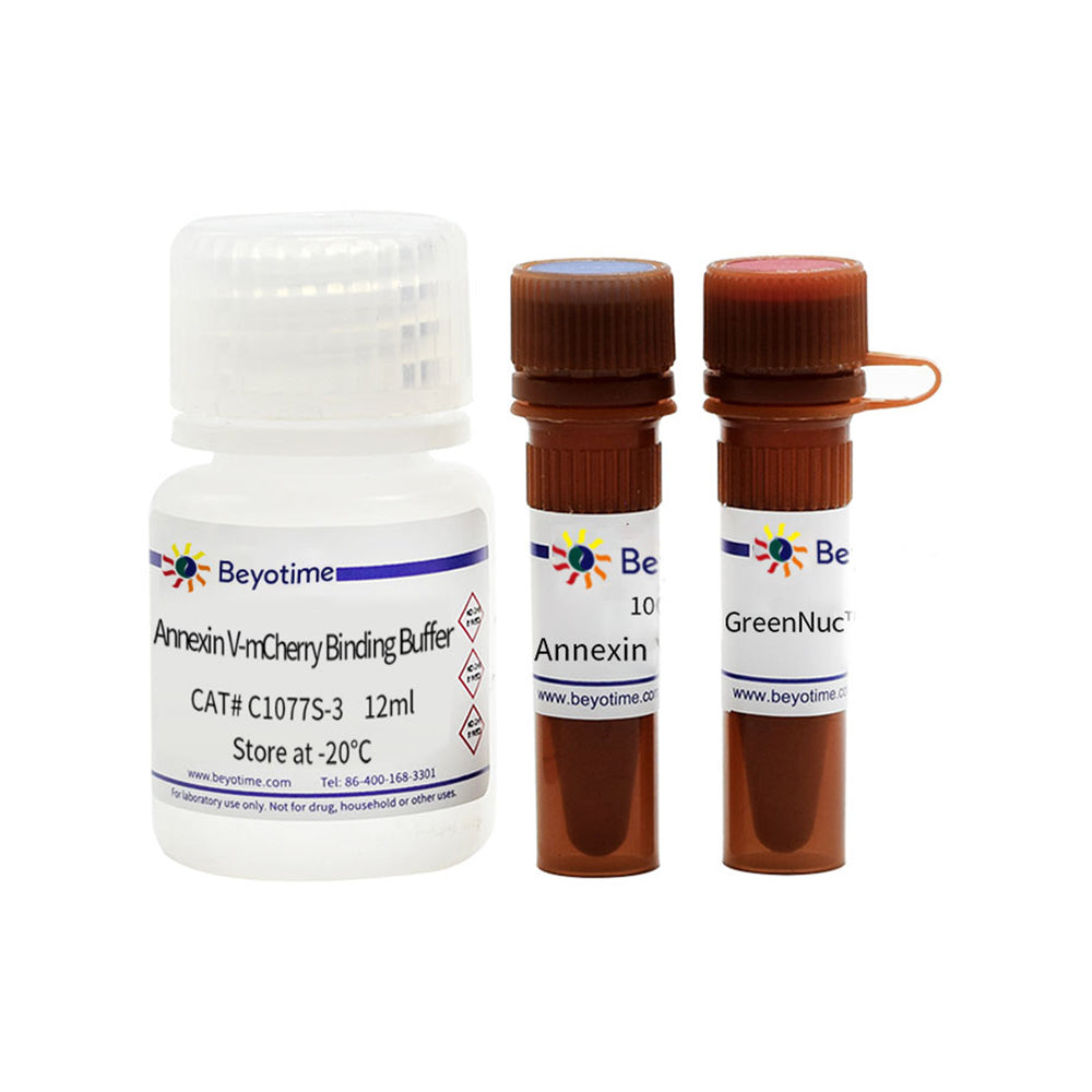 Caspase-3 Activity and Apoptosis Detection Kit for Live Cell, 20T