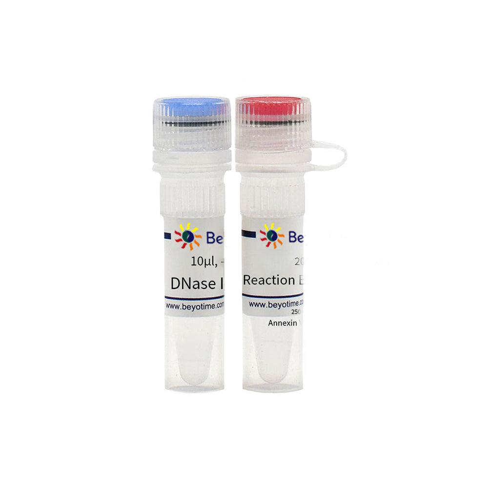 Positive Control Preparation Kit for TUNEL Assay, 10T