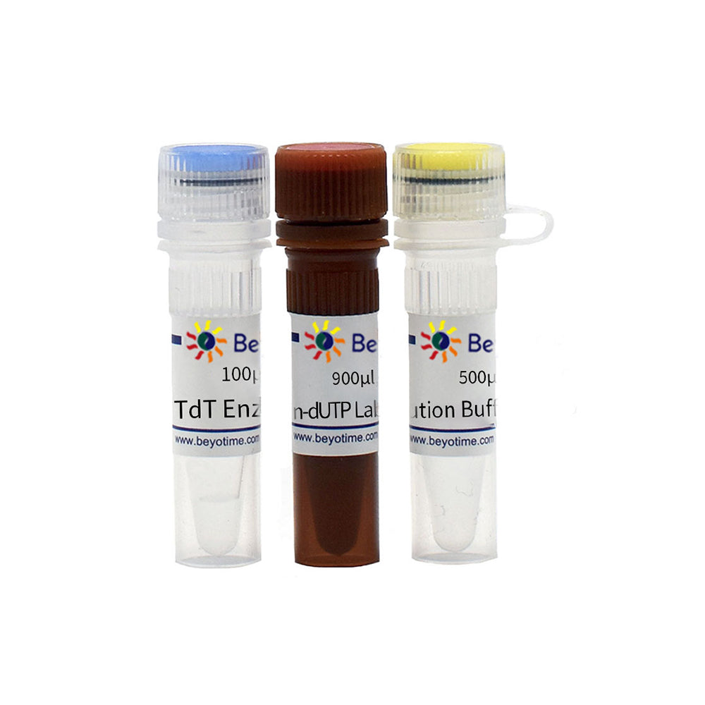 One Step TUNEL Apoptosis Assay Kit (Green Fluorescence), 20T