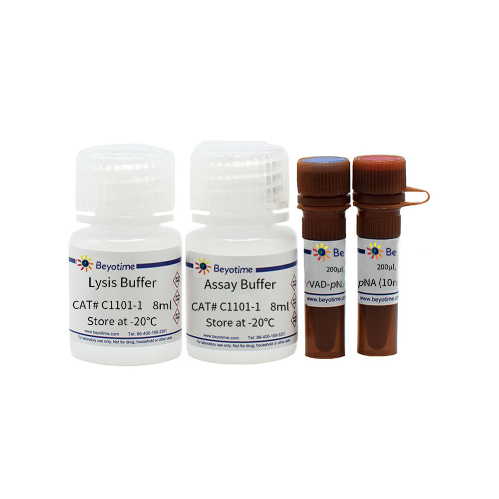 Caspase 1 Activity Assay Kit, 20T