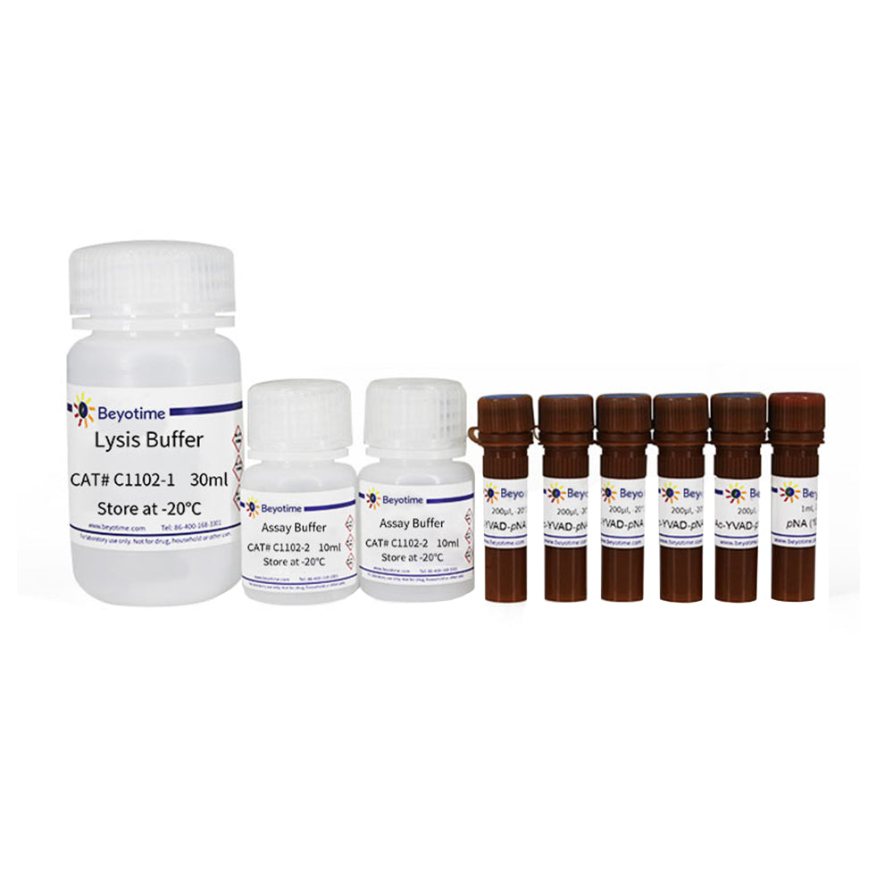Caspase 1 Activity Assay Kit, 100T