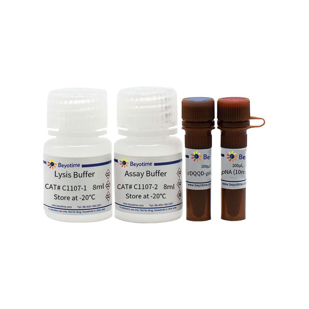 Caspase 2 Activity Assay Kit, 20T