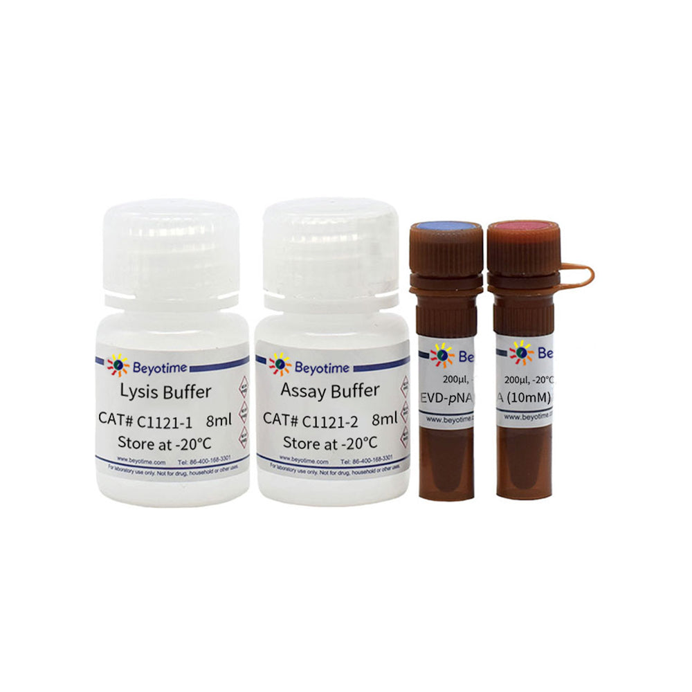 Caspase 4 Activity Assay Kit, 20T