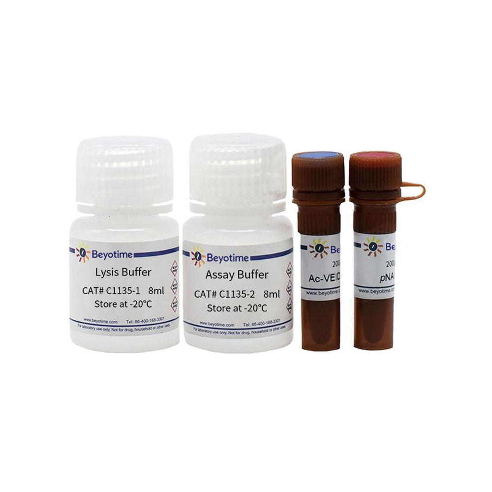Caspase 6 Activity Assay Kit, 20T