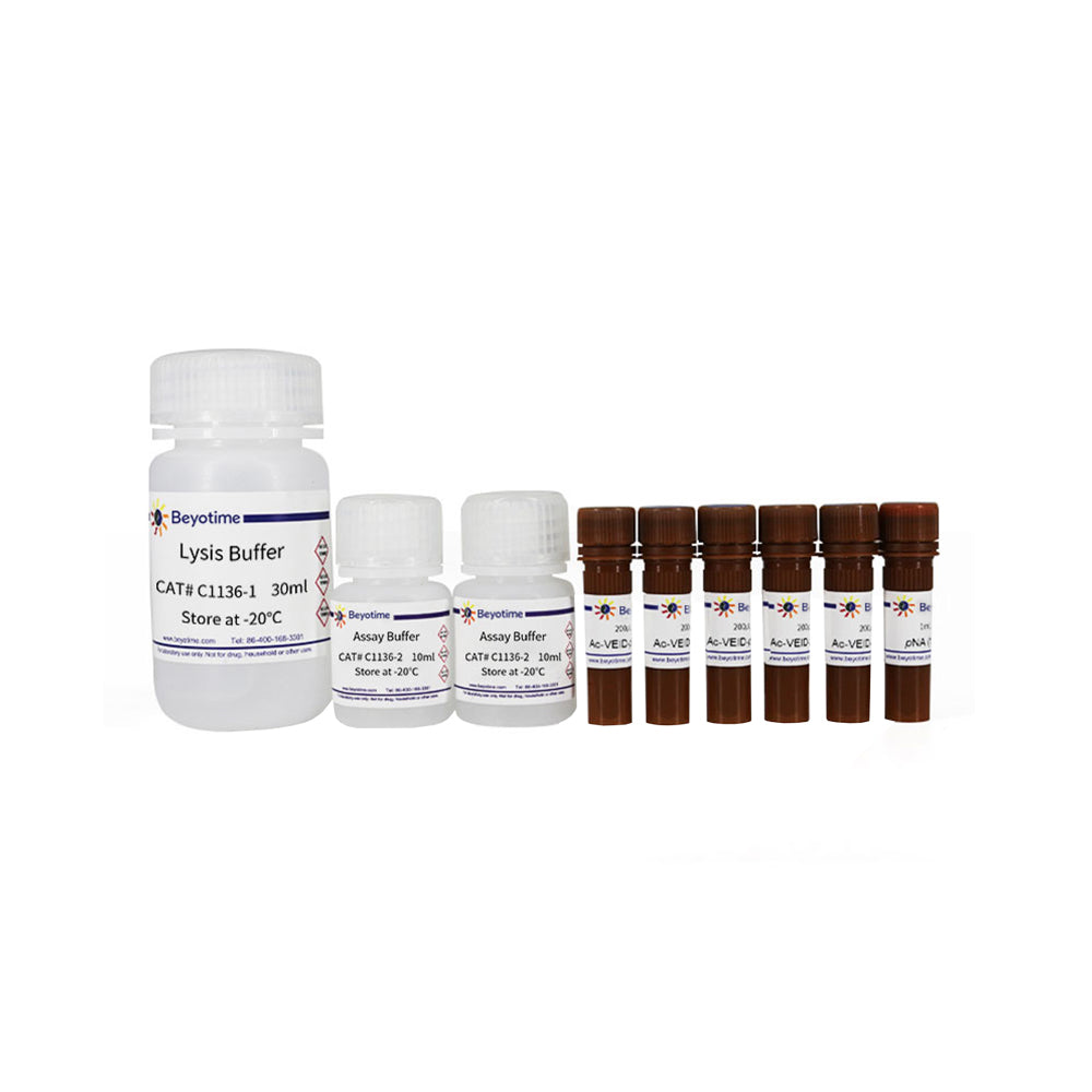 Caspase 6 Activity Assay Kit, 100T