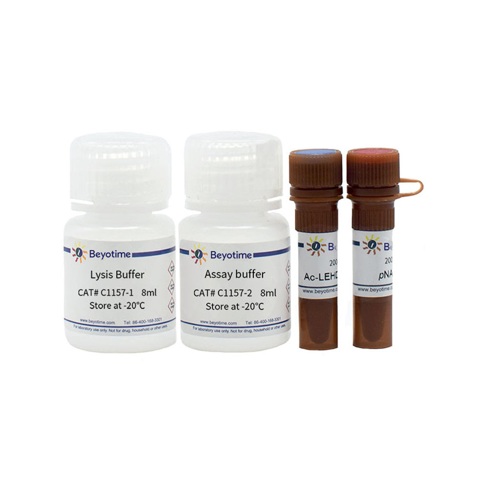 Caspase 9 Activity Assay Kit, 20T
