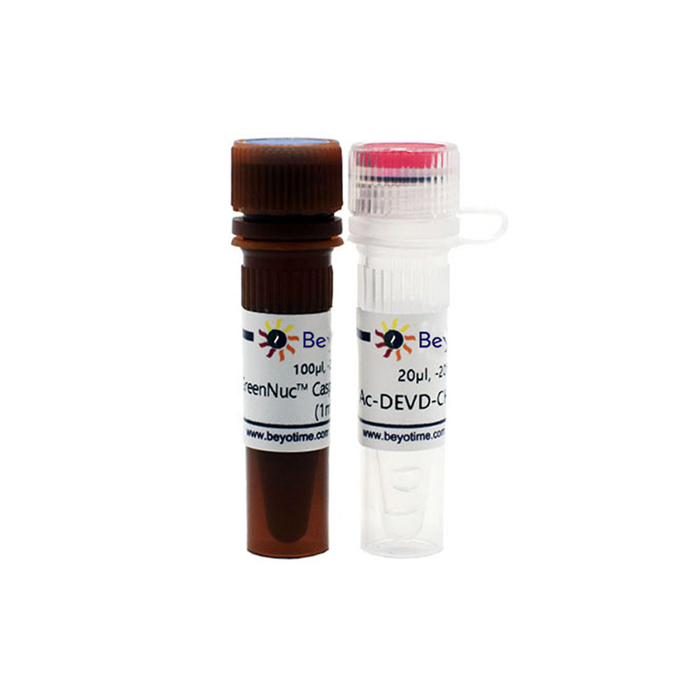 GreenNuc™ Caspase-3 Assay Kit for Live Cells, 100-200T