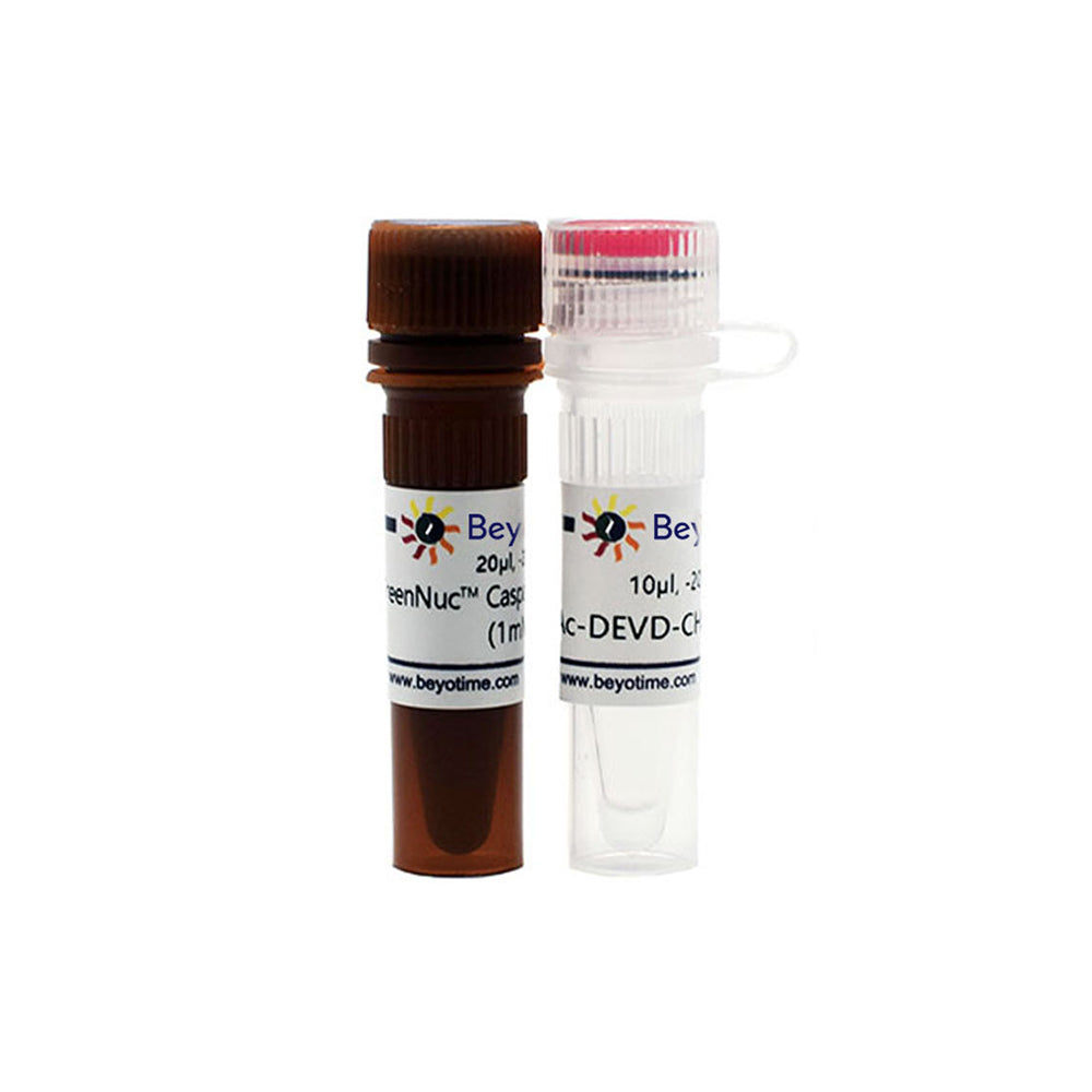 GreenNuc™ Caspase-3 Assay Kit for Live Cells, 20-40T