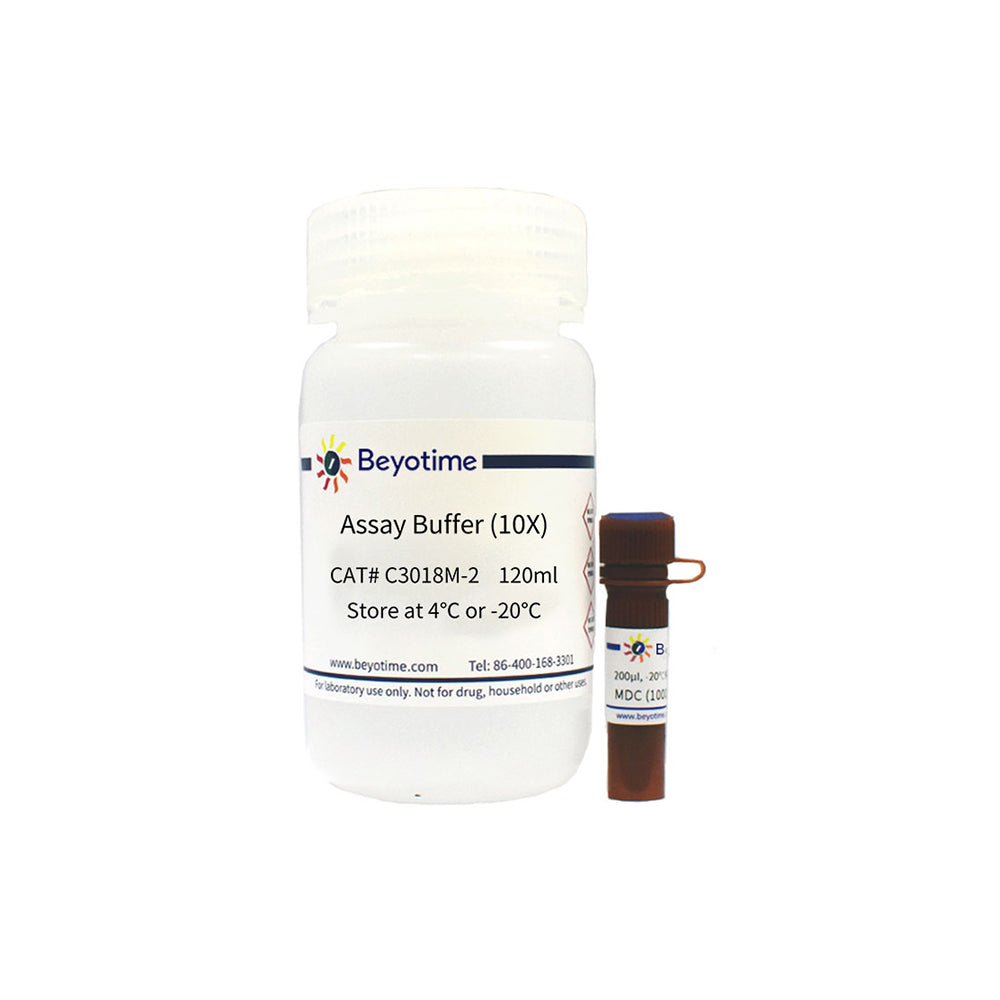 Autophagy Staining Assay Kit with MDC, 200-2000T