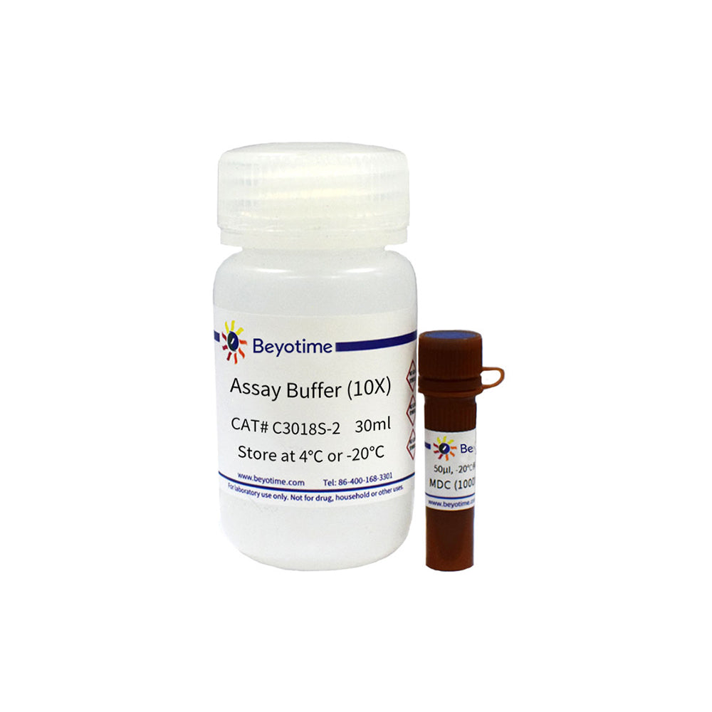 Autophagy Staining Assay Kit with MDC, 50-500T