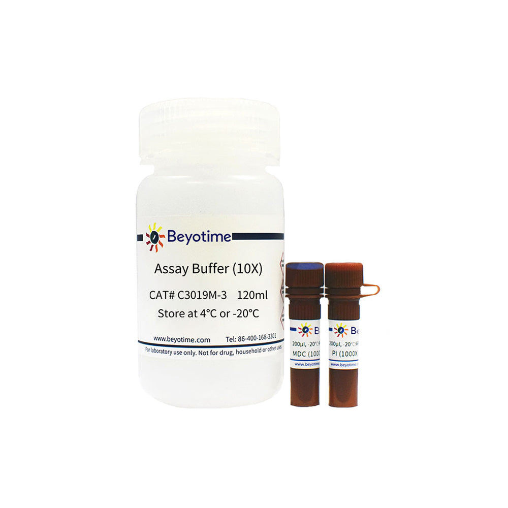 Autophagy Staining Assay Kit with MDC and PI, 200-2000T