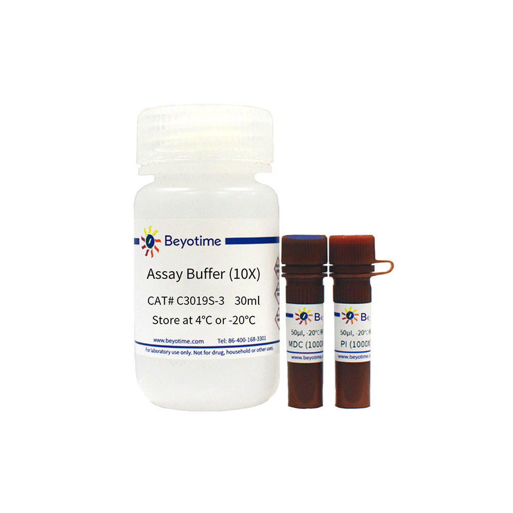 Autophagy Staining Assay Kit with MDC and PI, 50-500T