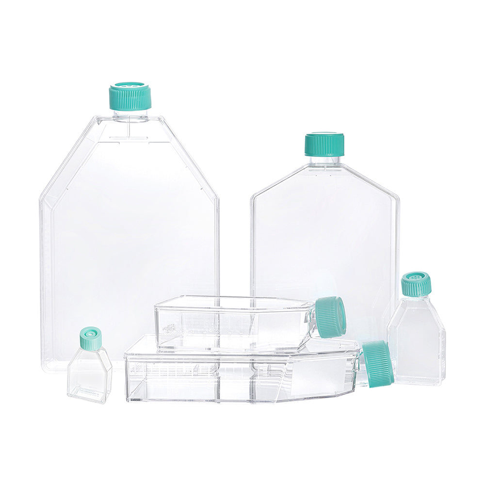 Tissue Culture extended flasks, 182.0 cm², 600mL, TC-treated, Plug seal, 40piece(s)/case