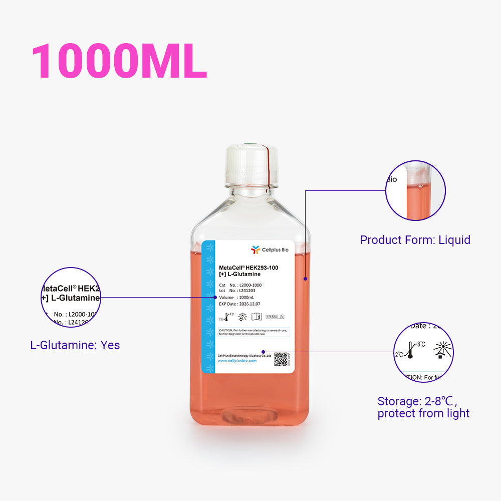 MetaCell® HEK293-100，1000ml 液體