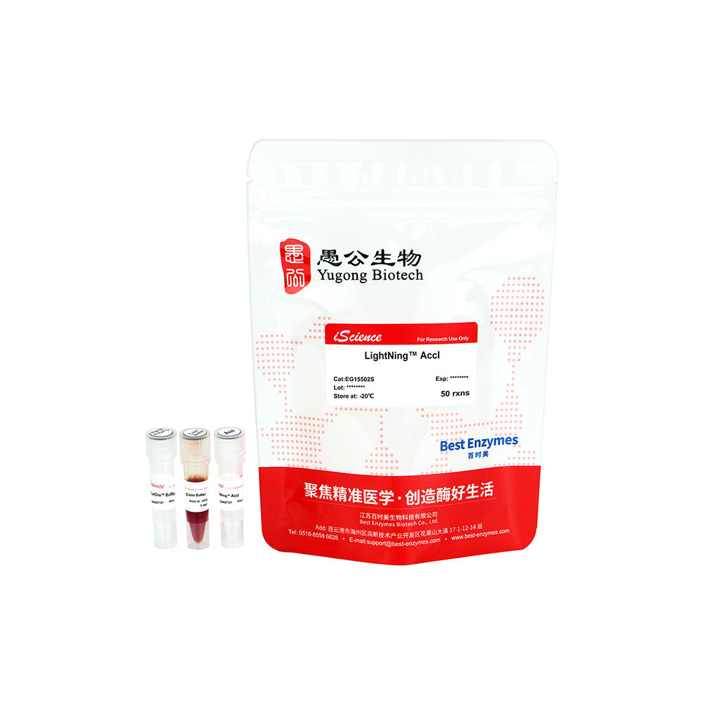 LightNing™ AccI 限制酶，50 次反應，1 次反應/μl
