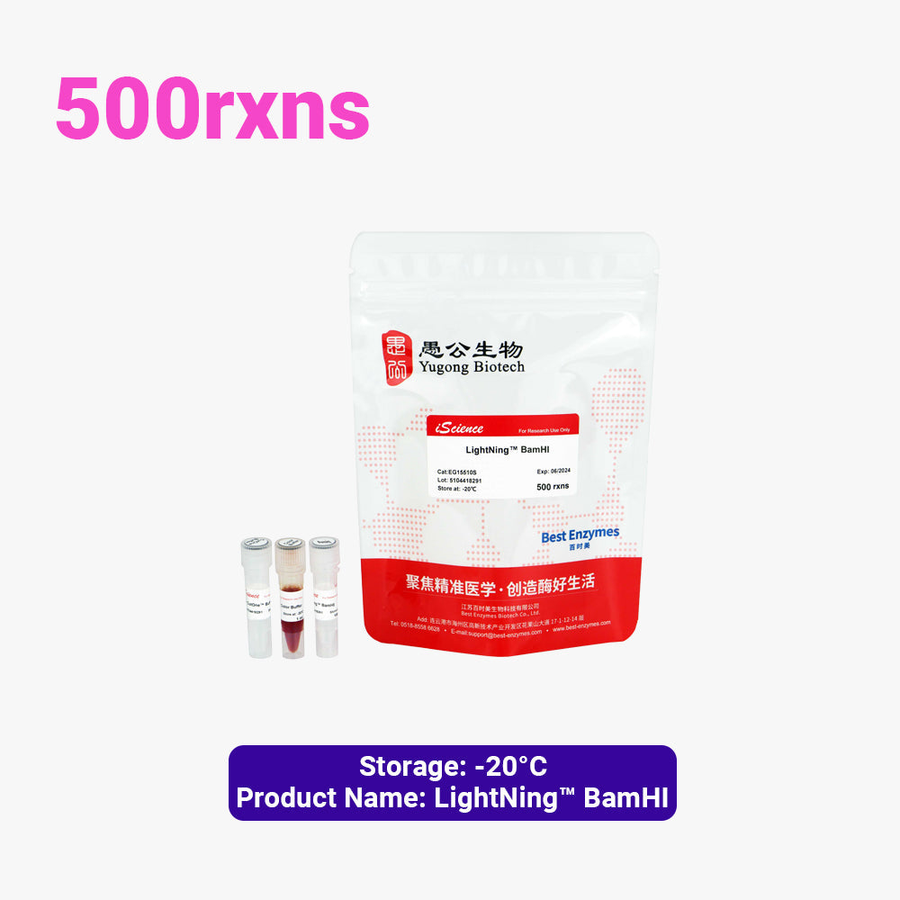 LightNing™ BamHI 限制酶，500 次反應，1 次反應/μl