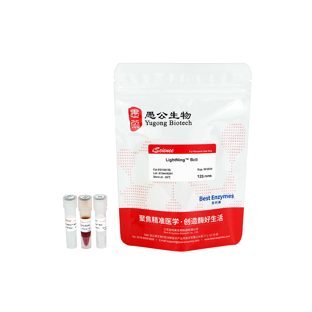 LightNing™ BclI 限制酶，125 次反應，1 次反應/μl