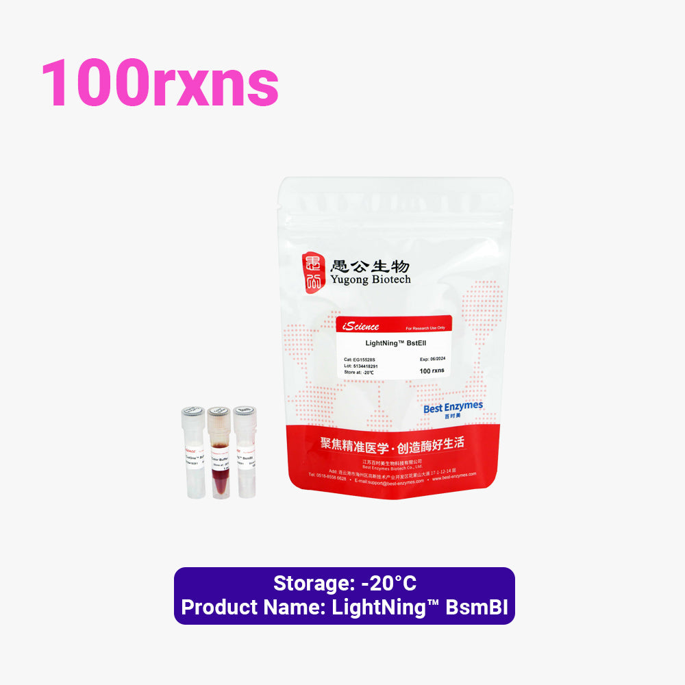 LightNing™ BstEII 限制酶，100 次反應，1 次反應/μl