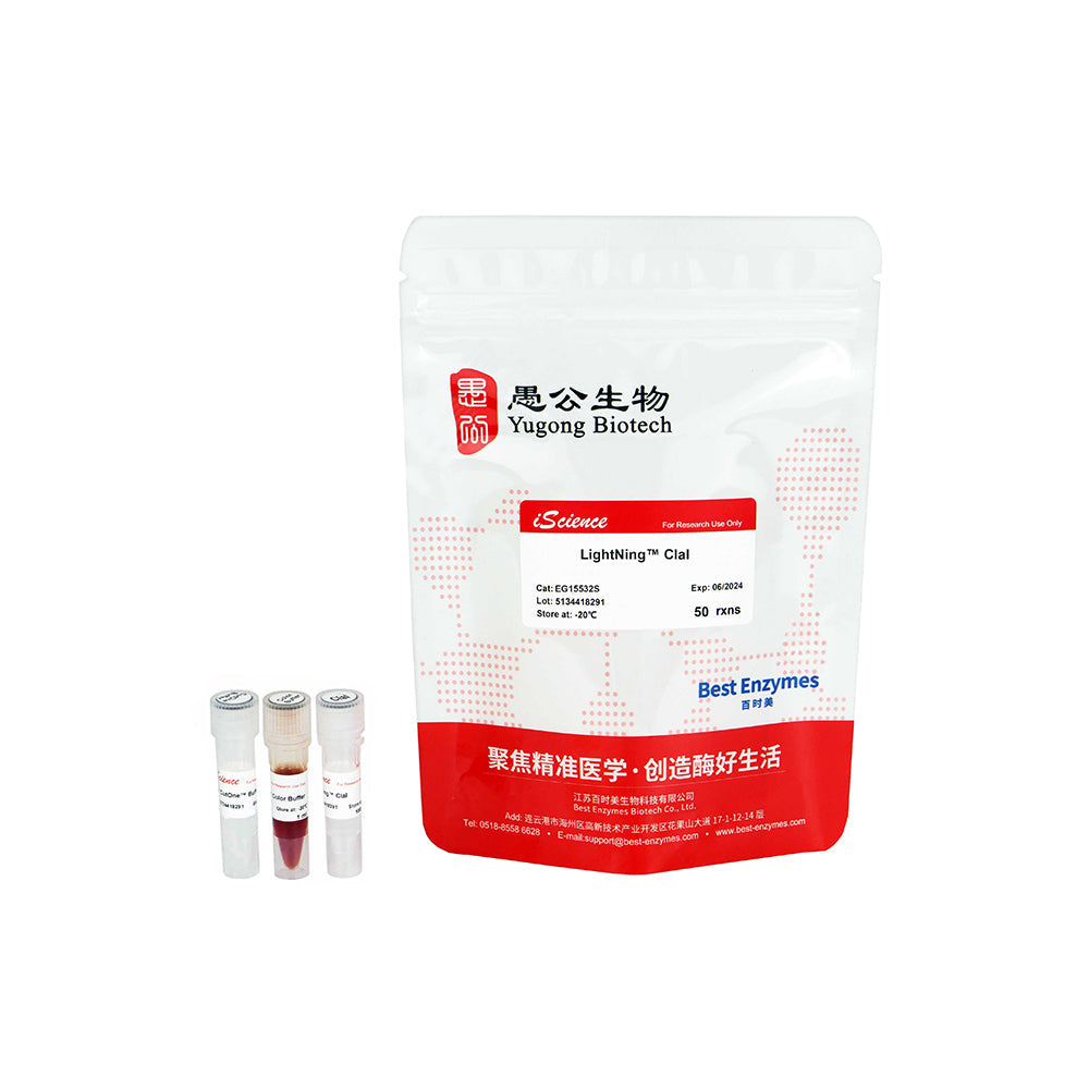 LightNing™ ClaI 限制酶，50 次反應，1 次反應/μl