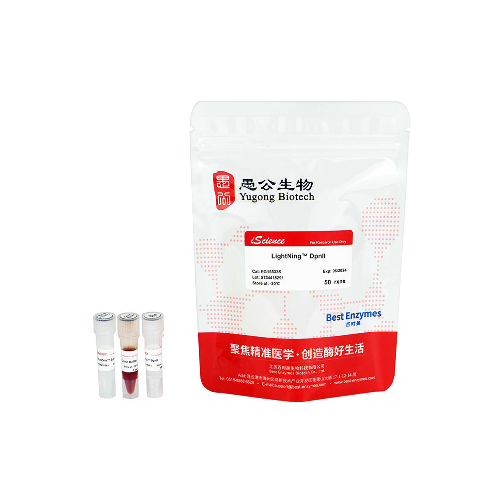 LightNing™ DpnII 限制酶，50 次反應，1 次反應/μl