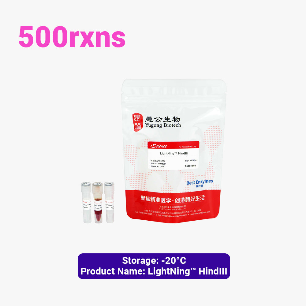 LightNing™ HindIII 限制酶，500 次反應，1 次反應/μl