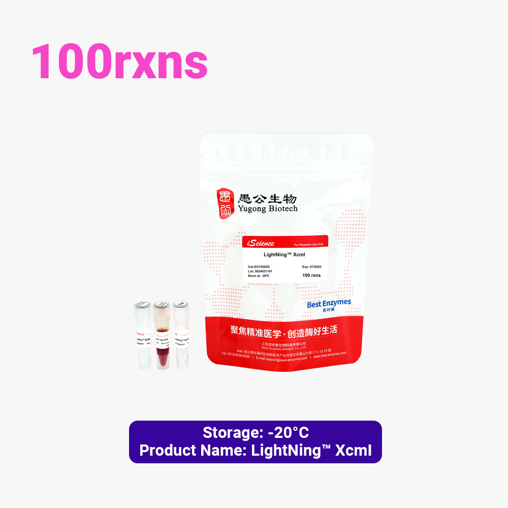 LightNing™ XcmI 限制酶，60 次反應，1 次反應/μl