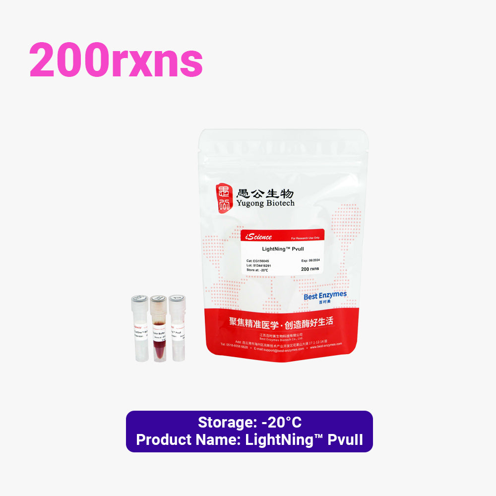 LightNing™ PvuII 限制酶，200 次反應，1 次反應/μl
