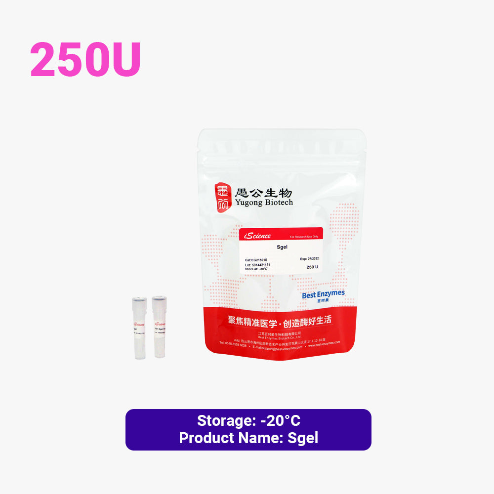 SgeI 限制性內切酶，250 U，5 U/μl