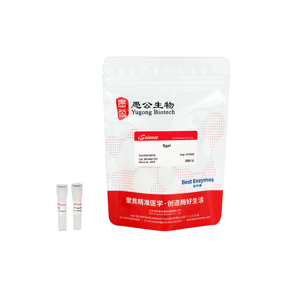 SgeI 限制性內切酶，250 U，5 U/μl
